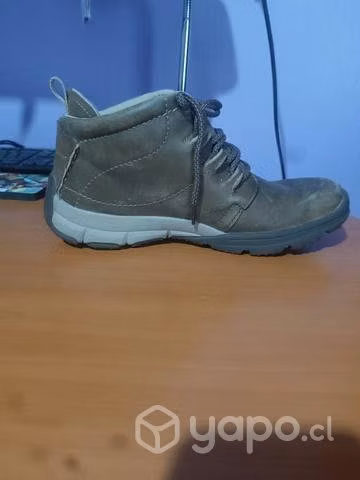 Zapatos cat