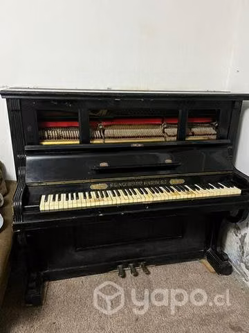 Piano newman hamburg