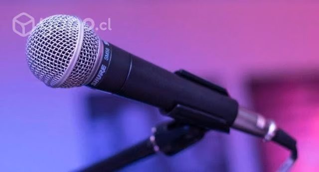 Shure Sm58