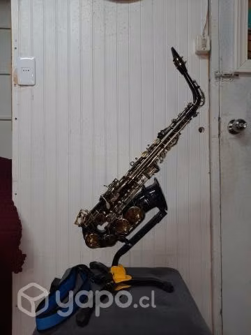 Saxofon etinger color grafito