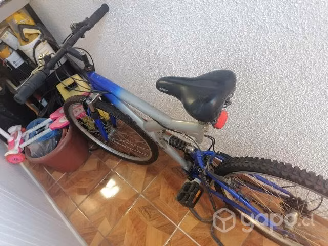 Bicicleta - Imagen 2