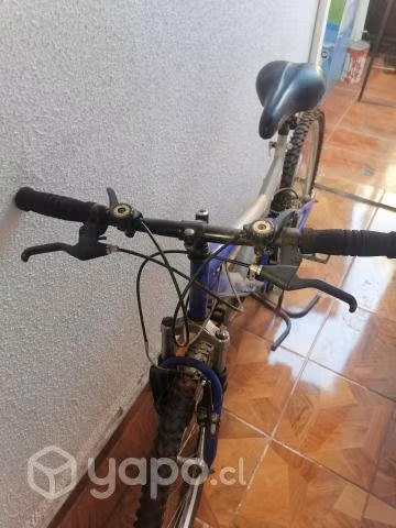 Bicicleta