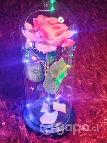 Lámpara Flor Eterna - Imagen 4