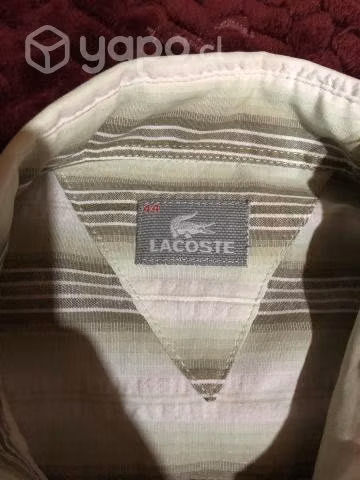 Camisa Lacoste - Imagen 3