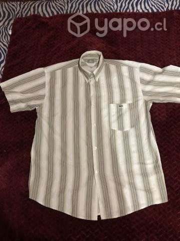 Camisa Lacoste - Imagen 2