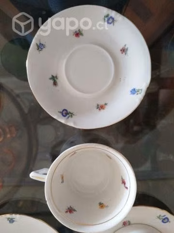 Juego de té de porcelana alemana. Vabaria