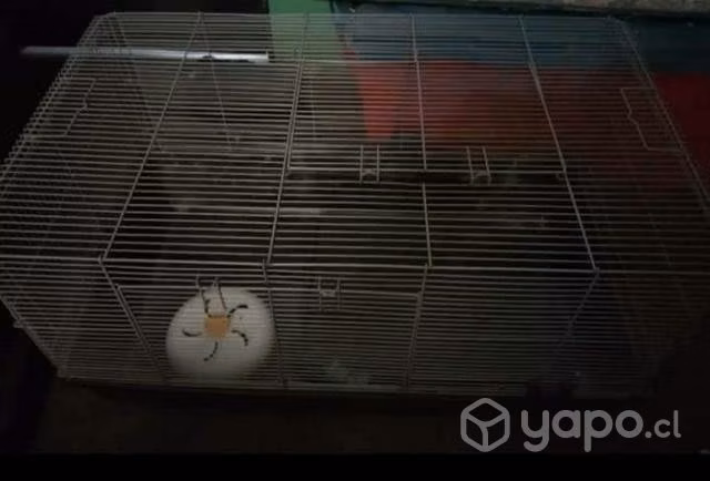 Jaula para animales pequeños y sus accesorios