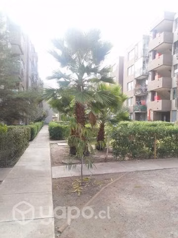 Excelente departamento en El Bosque - Imagen 4
