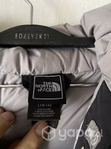 The north face