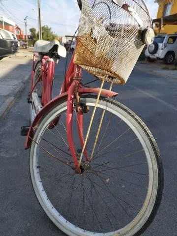 Bicicleta Oxford de paseo