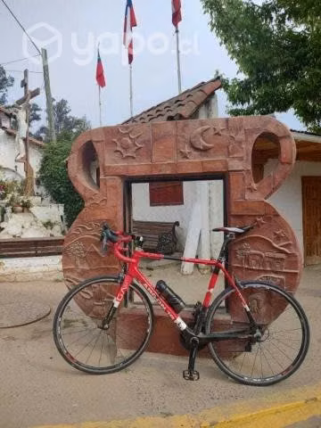 Rutera carbono - Imagen 4