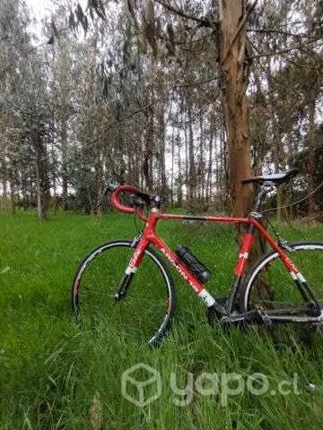 Rutera carbono - Imagen 2