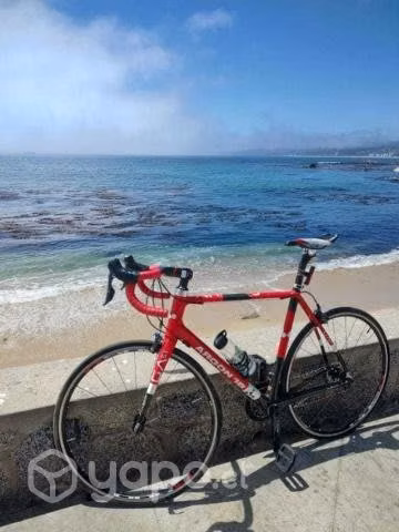 Rutera carbono