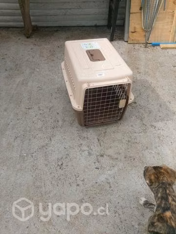 Jaula mascota