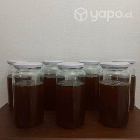 Miel de Quillay de Santa Bárbara 100% Orgánica