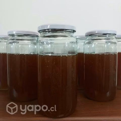 Miel de Quillay de Santa Bárbara 100% Orgánica