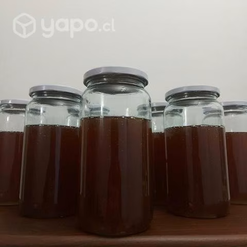 Miel de Quillay de Santa Bárbara 100% Orgánica