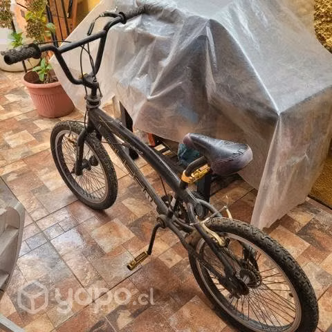 Bicicletas