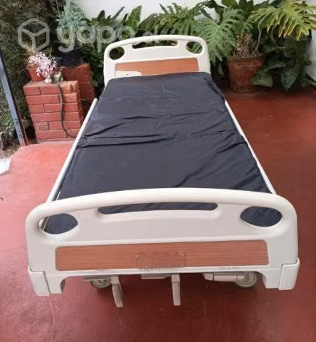 Cama