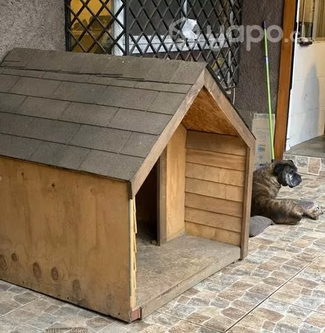 Casa Gigante para perros