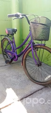 Bicicleta Oxford