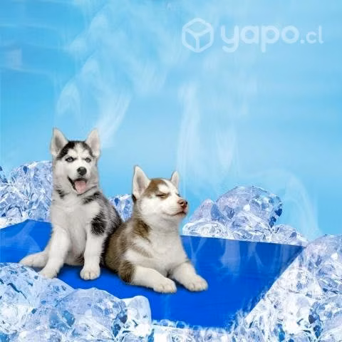 Manta de Enfriamiento para Mascotas Azul 40x50 cm