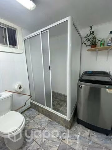 Shower door