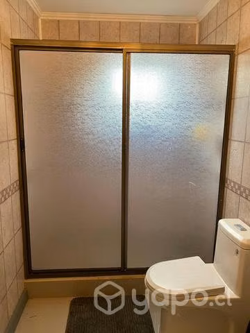Shower door