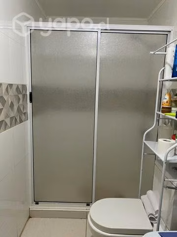 Shower door