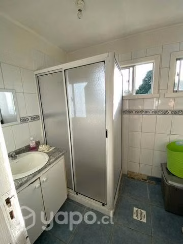 Shower door