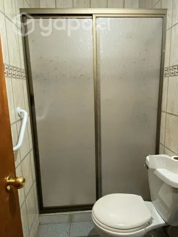 Shower door