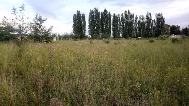 Parcela Cerrada San Carlos Ñuble,9 min. ciudad