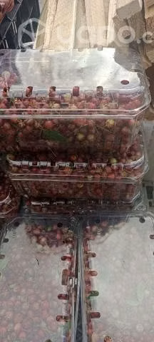 Murtas ,avellanas ,castañas