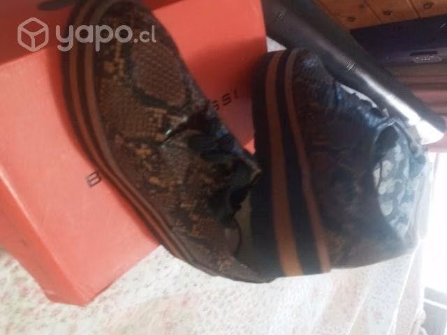 Zapatos Zara número 38