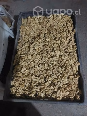 Nueces chandler