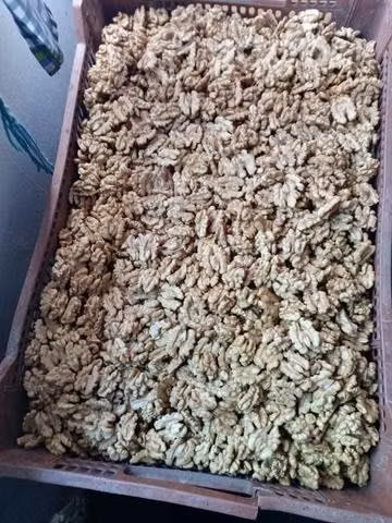 Nueces chandler