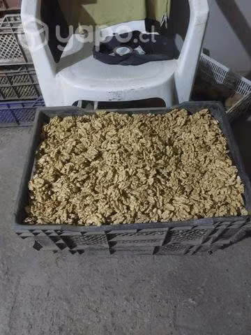 Nueces chandler