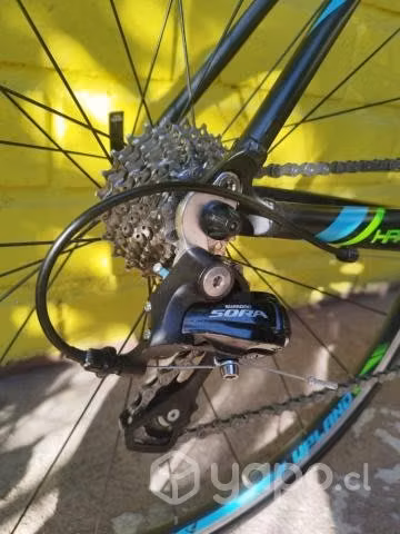 Bicicleta Ruta Upland Hawk 100