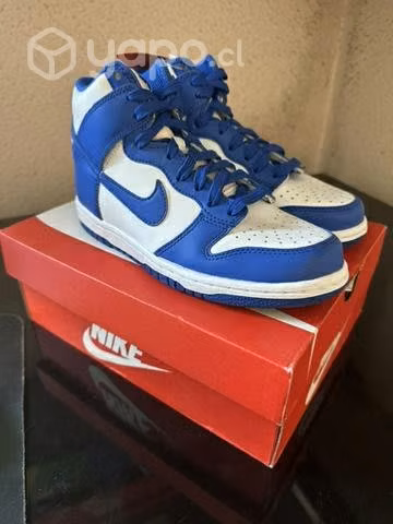 Zapatillas Nike dunk high