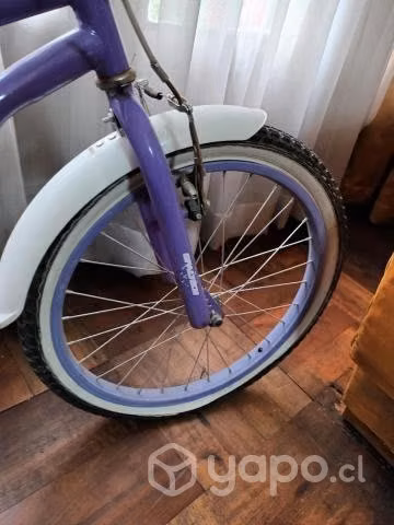 Bicicleta de Niña Aro 20