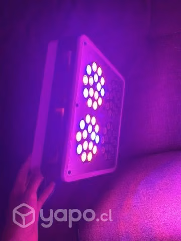 Indoor + luz Delight Apollo Evolution 4 180W