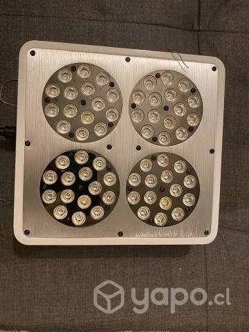 Indoor + luz Delight Apollo Evolution 4 180W