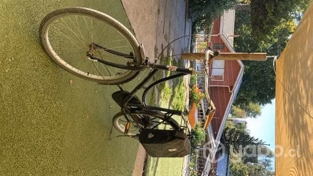 Bicicleta Vintage