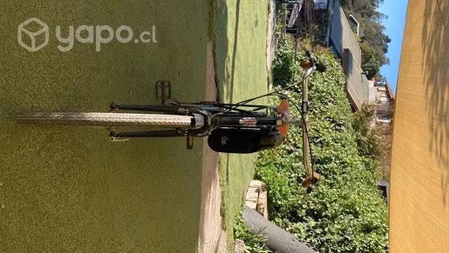 Bicicleta Vintage