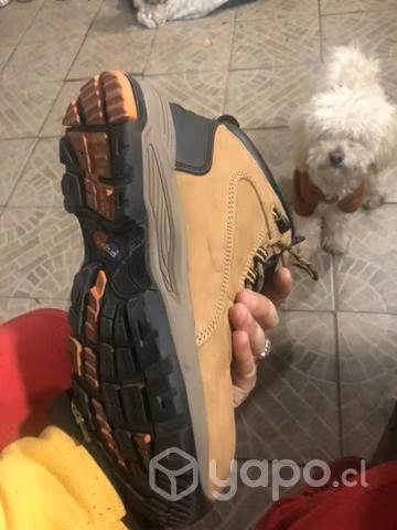 Zapatos de seguridad