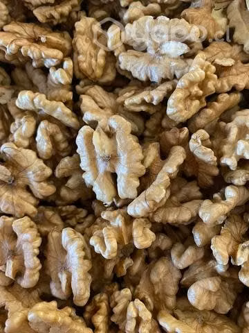 Nueces Excelente Calidad