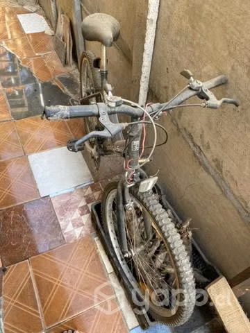 Bicicleta
