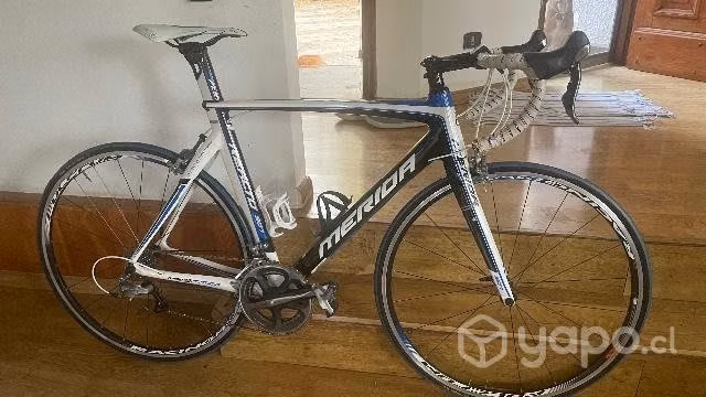 Bicicleta pistera