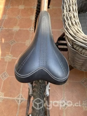 Bicicleta Bianchi - Imagen 4