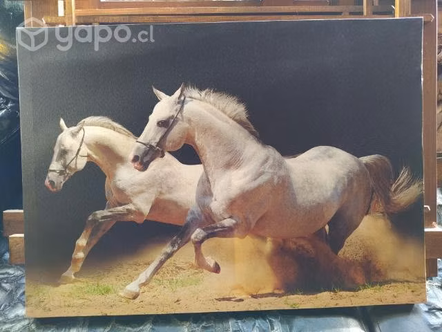 Hermosos Cuadros decorativos